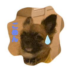 [LINEスタンプ] むーのまいにち