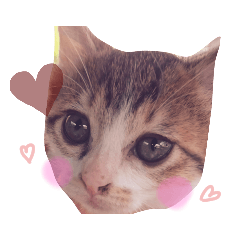 [LINEスタンプ] ちび 日和1