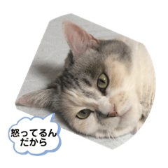[LINEスタンプ] 永遠のおんにゃのこ☆みゆう③