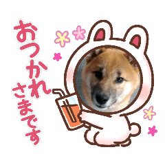 [LINEスタンプ] コムシトックロード