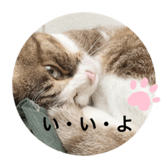 [LINEスタンプ] 虹だんごのジジとキキ♡