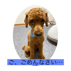 [LINEスタンプ] シトロン一家