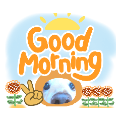 [LINEスタンプ] 大文字返信スタンプ