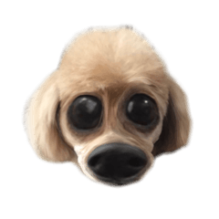 [LINEスタンプ] ふぇれっとかいてえ