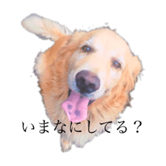 [LINEスタンプ] それゆけ金太