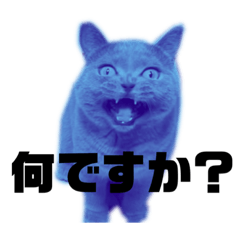[LINEスタンプ] ウメ子とコメ太