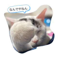 [LINEスタンプ] ごま様