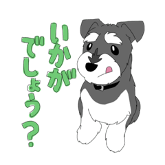 [LINEスタンプ] お茶んぷ4 シュナウザー お茶くん 敬語編