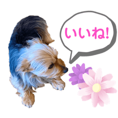 [LINEスタンプ] エラさんスタンプ②