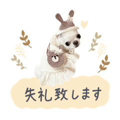 [LINEスタンプ] チワワのろよ♡ご挨拶スタンプ