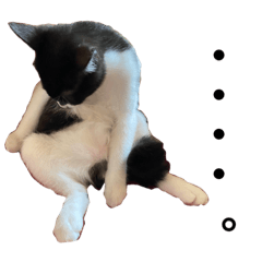 [LINEスタンプ] ぼんバジ2