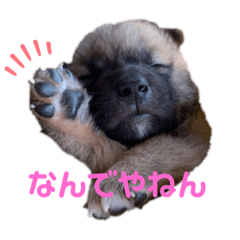 [LINEスタンプ] 紫友会 子犬わちゃわちゃ✨