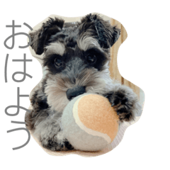 [LINEスタンプ] 心春とココ 3