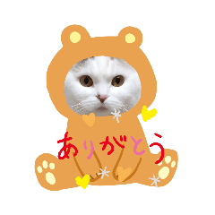 [LINEスタンプ] 猫好きさん用『ななこ』フレームバージョン