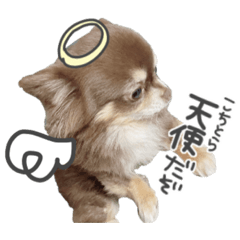 [LINEスタンプ] えんじぇるえーたんすたんぷ