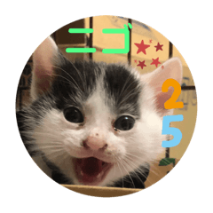 [LINEスタンプ] ニゴ＆ハチゴ