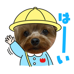 [LINEスタンプ] ヨーキー♡みみ