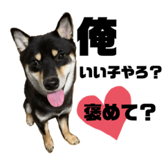 [LINEスタンプ] わが家のベルさん