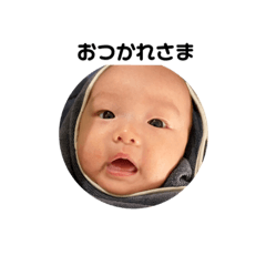 [LINEスタンプ] すくすくこはる