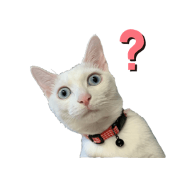 [LINEスタンプ] おっぽちゃんスタンプ