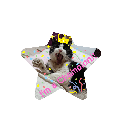 [LINEスタンプ] 黒ちゃんの格闘                保護猫生活