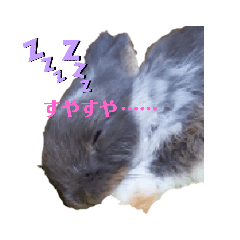 [LINEスタンプ] AO's Rabbits
