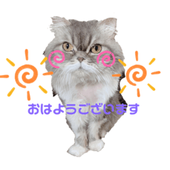 [LINEスタンプ] 桃次郎シャチョサン 日常会話編