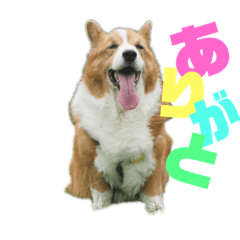 [LINEスタンプ] 新幹線ぼーいそら