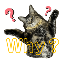 [LINEスタンプ] ハクメロ3