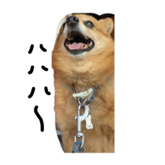 [LINEスタンプ] ぴーすのにちじょう2