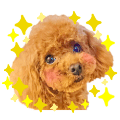 [LINEスタンプ] 今日も元気なまろんさん