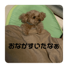 [LINEスタンプ] くま♡ぷう