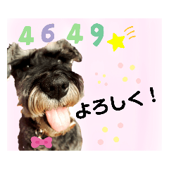 [LINEスタンプ] 返事・相づち～マロン君といっしょ～②