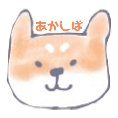 [LINEスタンプ] ゆるゆる日本犬の顔だけスタンプ