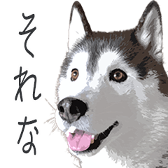 [LINEスタンプ] ハスキー犬 バルトくん2