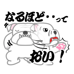 [LINEスタンプ] 白ブルの大福 10[ツッコミ系]