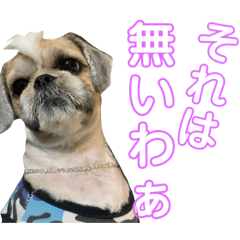 [LINEスタンプ] モヒカン蓮くん 8