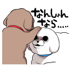 [LINEスタンプ] チャイプーとシロプー2～広島弁ver.～