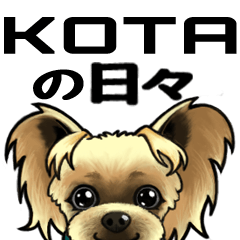 [LINEスタンプ] KOTAの日々