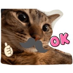 [LINEスタンプ] マイペットたち3