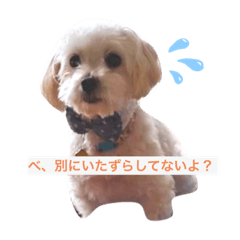 [LINEスタンプ] ベルくんの日常
