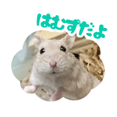 [LINEスタンプ] はむずだよ