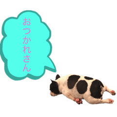 [LINEスタンプ] ブヒ男、dice君。