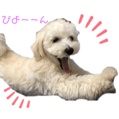 [LINEスタンプ] マルプー♡ちくわ