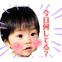 [LINEスタンプ] アン太郎と蒼太郎