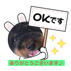 [LINEスタンプ] bussam＆himemaru