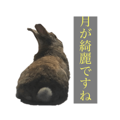 [LINEスタンプ] らびちゃんかわいいスタンプ