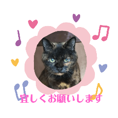 [LINEスタンプ] モコメモリー