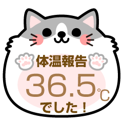 [LINEスタンプ] ネッコが伝える体温