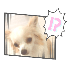 [LINEスタンプ] 犬のかわいい自然な日常スタンプ2